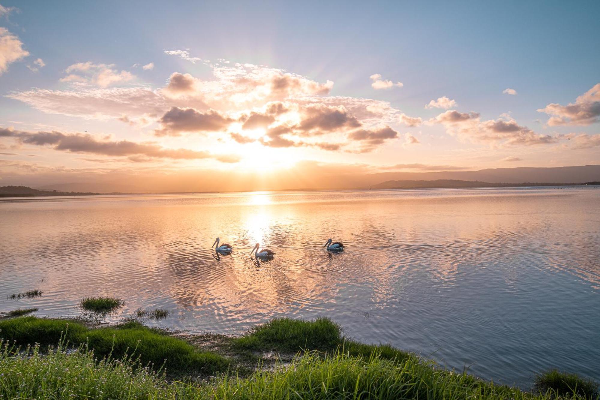 Lakeside Inn Wollongong Primbee Zewnętrze zdjęcie